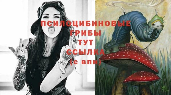 прущий лед Алексеевка