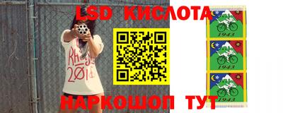 a pvp Краснокаменск