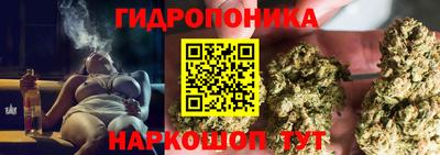 a pvp Краснокаменск